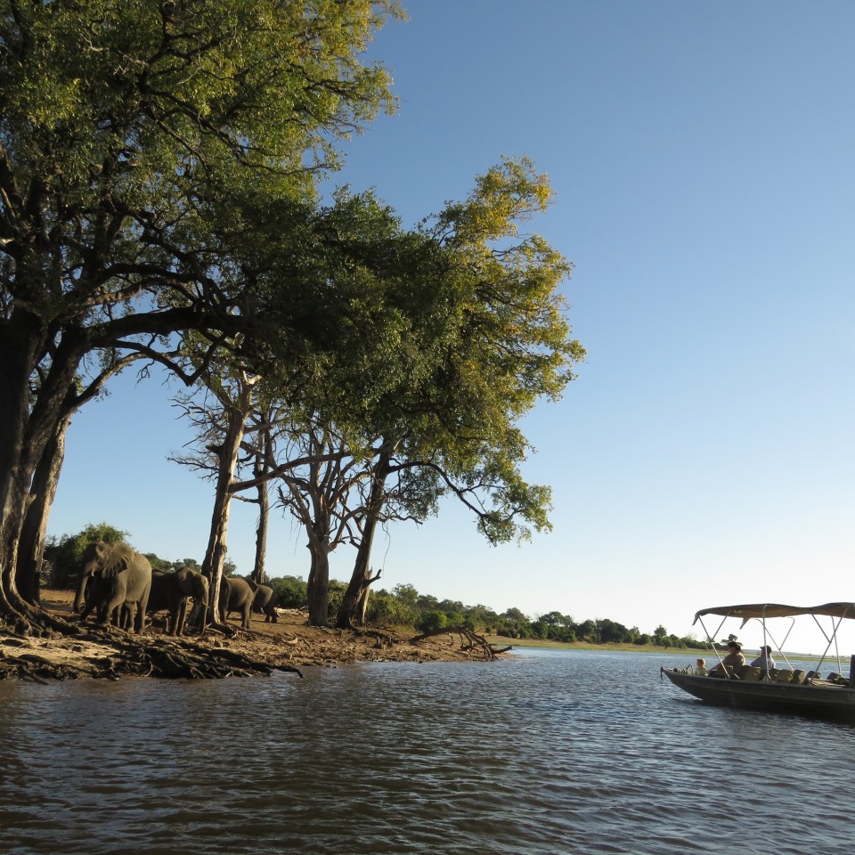 Campingerlebnis Botswana